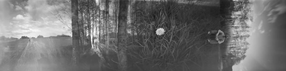 A panorama from 3D-printed camera